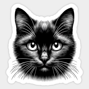 The Enigmatic Stare of the Black Cat Sticker